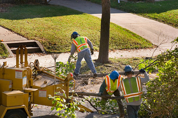 Best Emergency Tree Removal  in Allendale, CA